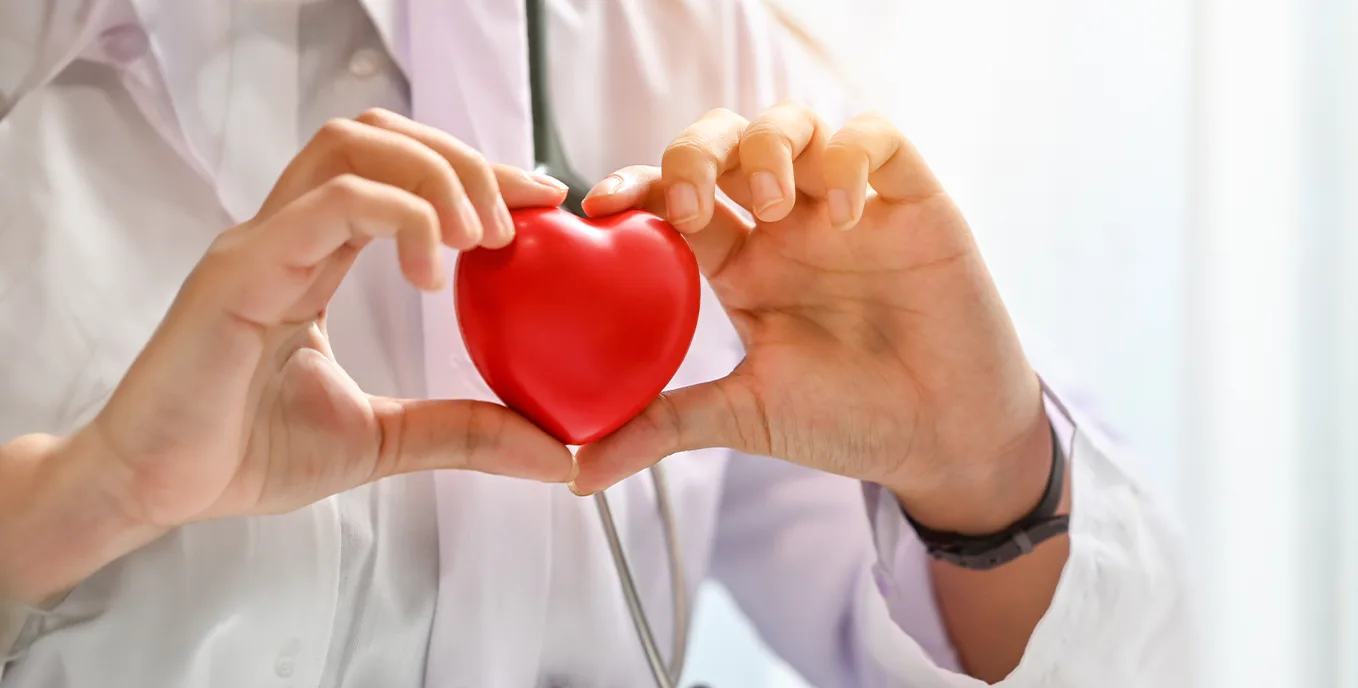 Arzt hält ein rotes Herzmodell in Düsseldorf Oberbilk